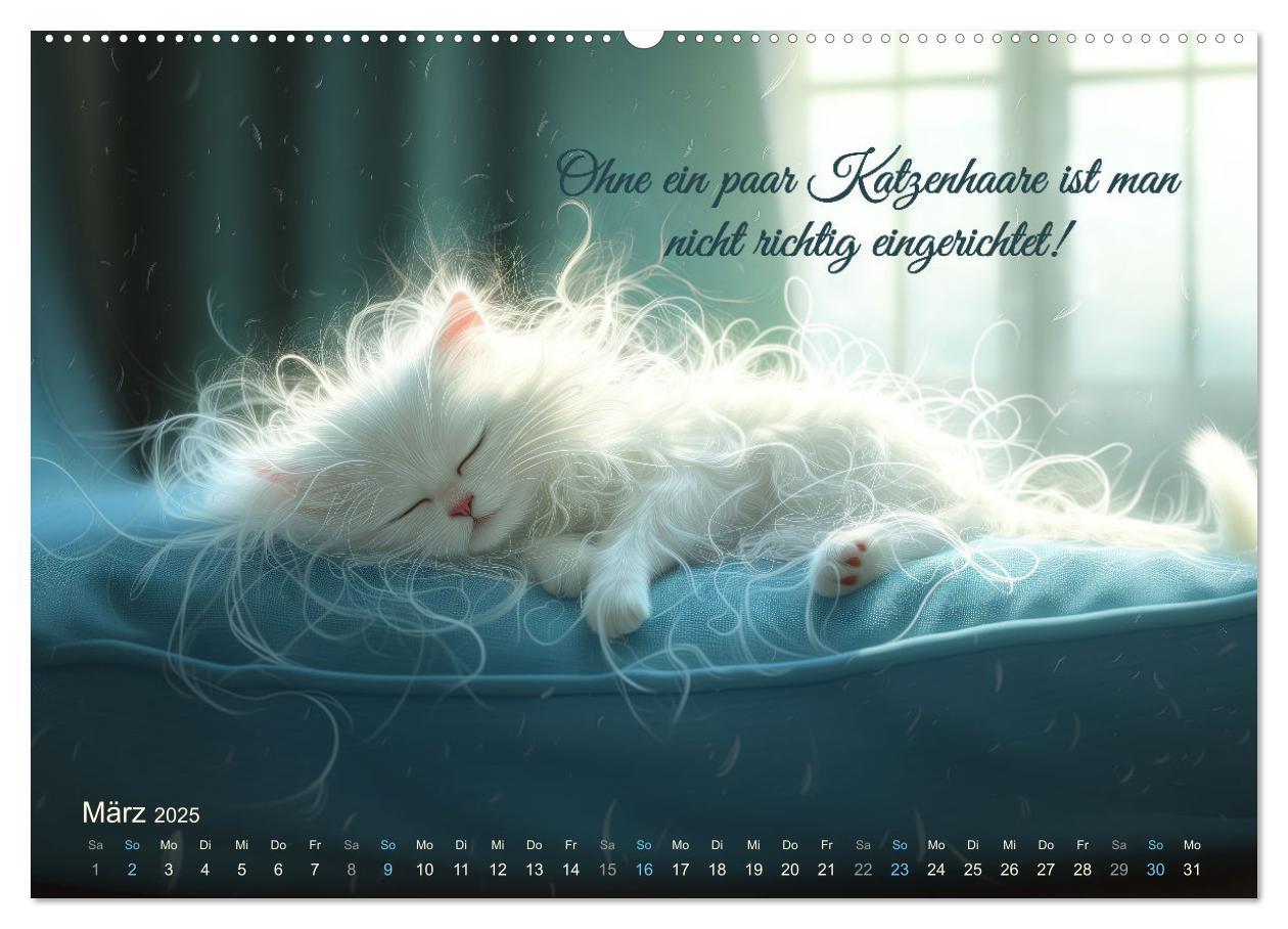 Bild: 9783383780325 | Samtpfotensprüche (Wandkalender 2025 DIN A2 quer), CALVENDO...