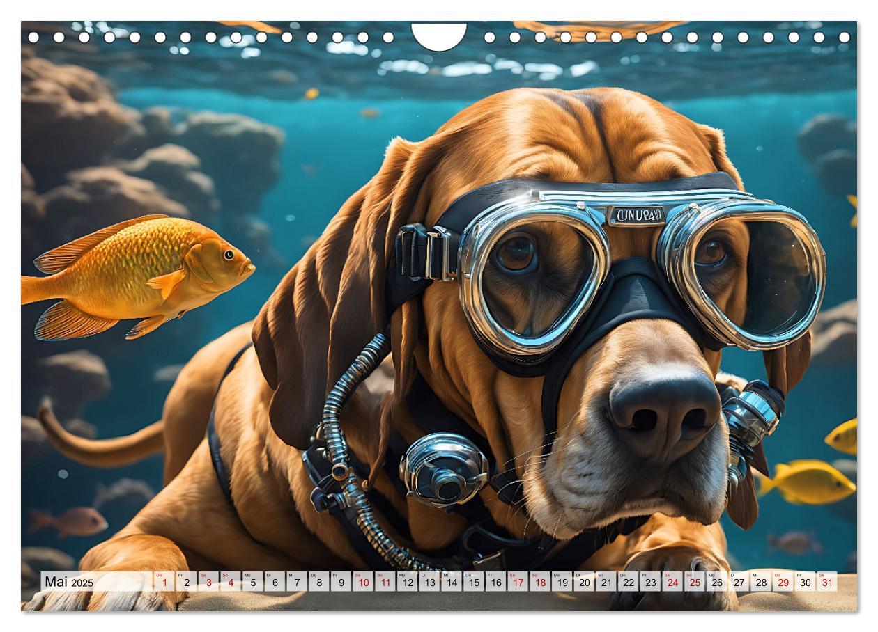 Bild: 9783383845116 | Hunde abgetaucht (Wandkalender 2025 DIN A4 quer), CALVENDO...