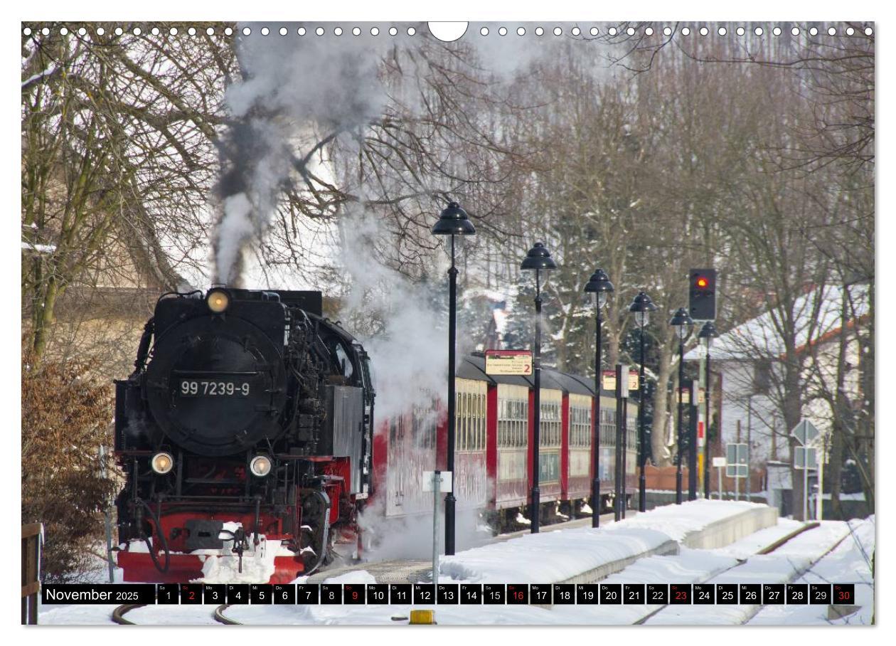 Bild: 9783435686971 | Schmalspurbahnen in Sachsen Anhalt (Wandkalender 2025 DIN A3 quer),...