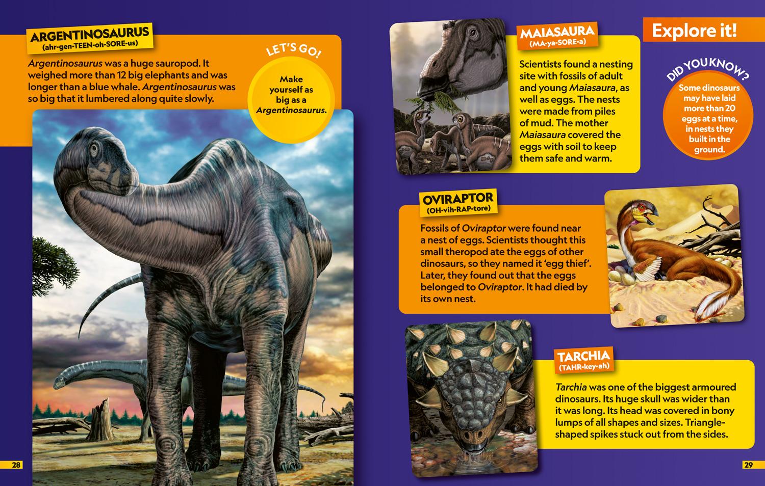 Bild: 9780008554361 | Dinosaurs Find it! Explore it! | National Geographic Kids | Buch