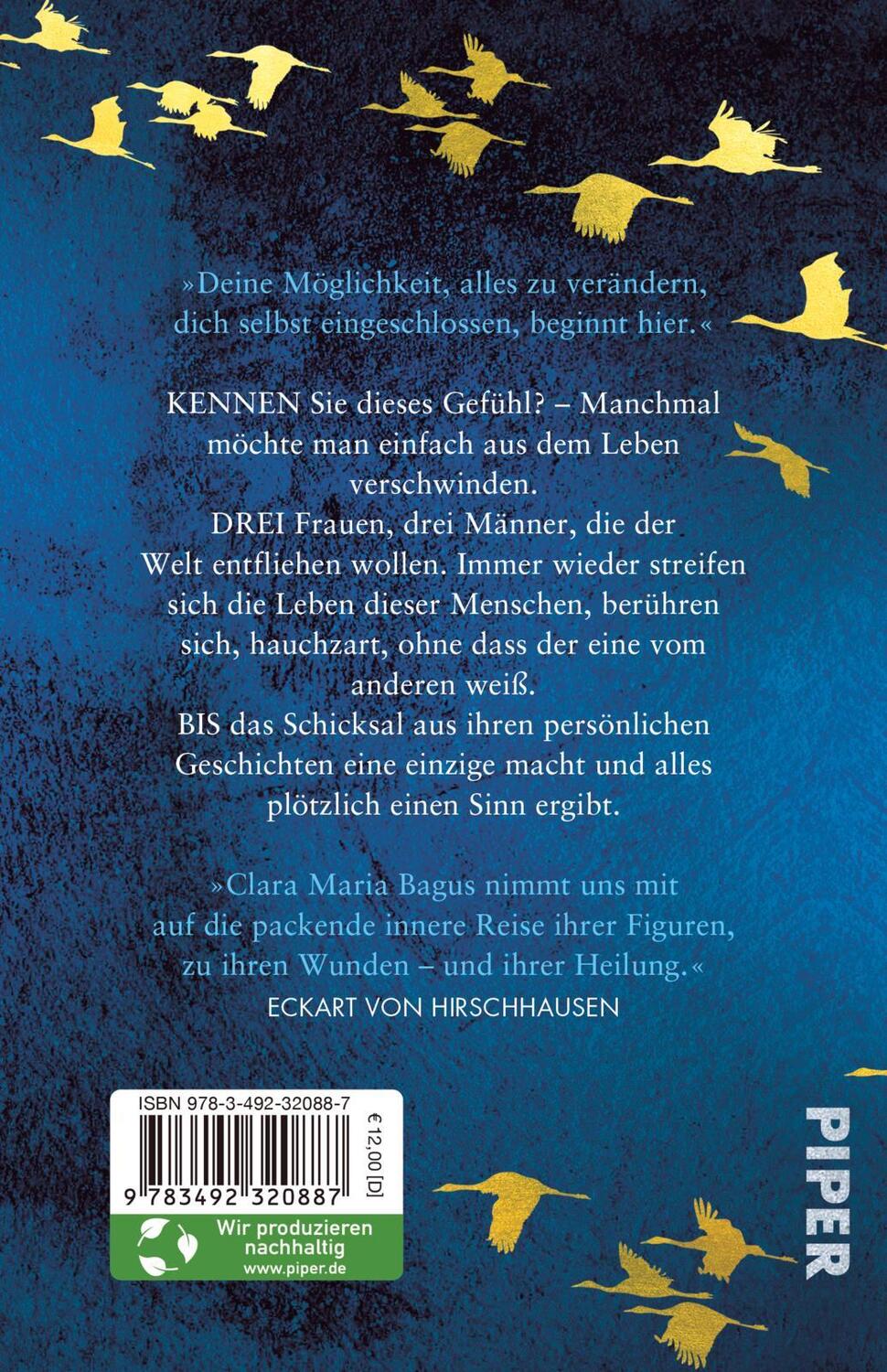 Rückseite: 9783492320887 | Der Klang von Licht | Clara Maria Bagus | Taschenbuch | 288 S. | 2024