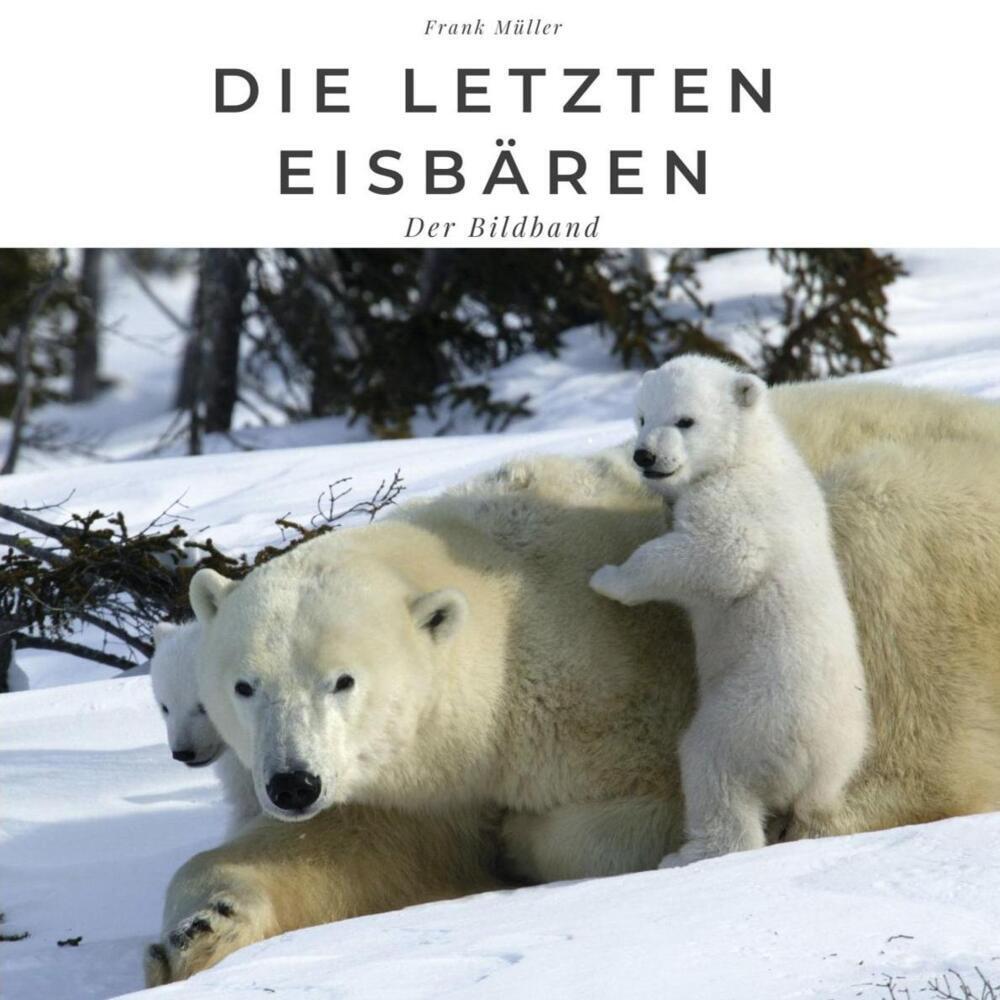 Cover: 9783750504387 | Die letzten Eisbären | Der Bildband | Frank Müller | Taschenbuch