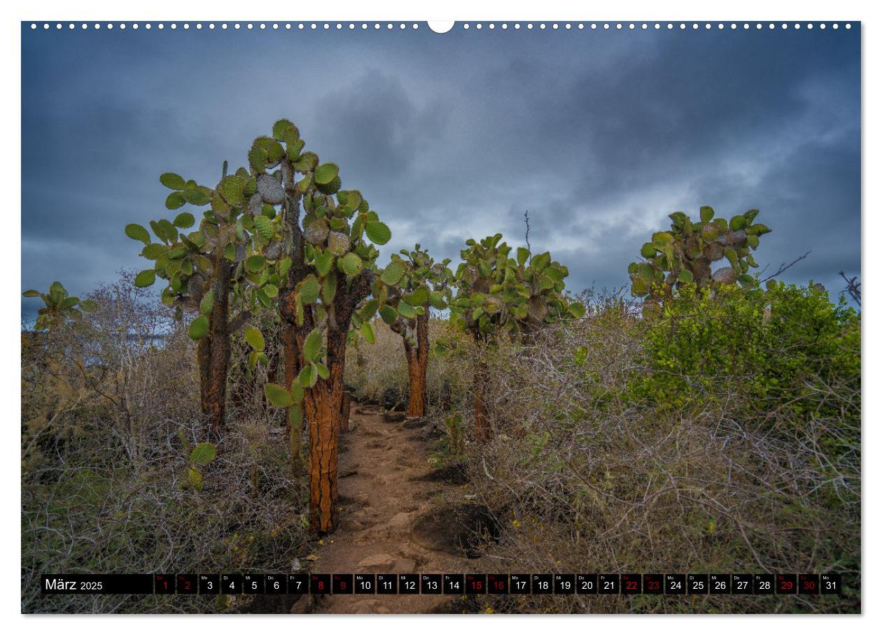 Bild: 9783383993930 | Ecuador - Naturparadies am Äquator (Wandkalender 2025 DIN A2 quer),...