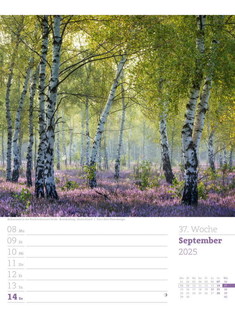 Bild: 9783838425979 | Unser Wald - Wochenplaner Kalender 2025 | Ackermann Kunstverlag | 2025