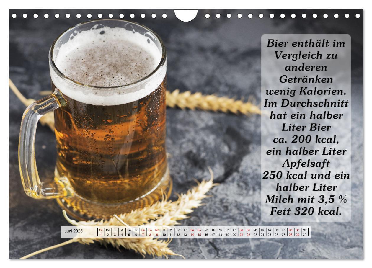 Bild: 9783435037094 | Wissenswertes über Bier (Wandkalender 2025 DIN A4 quer), CALVENDO...