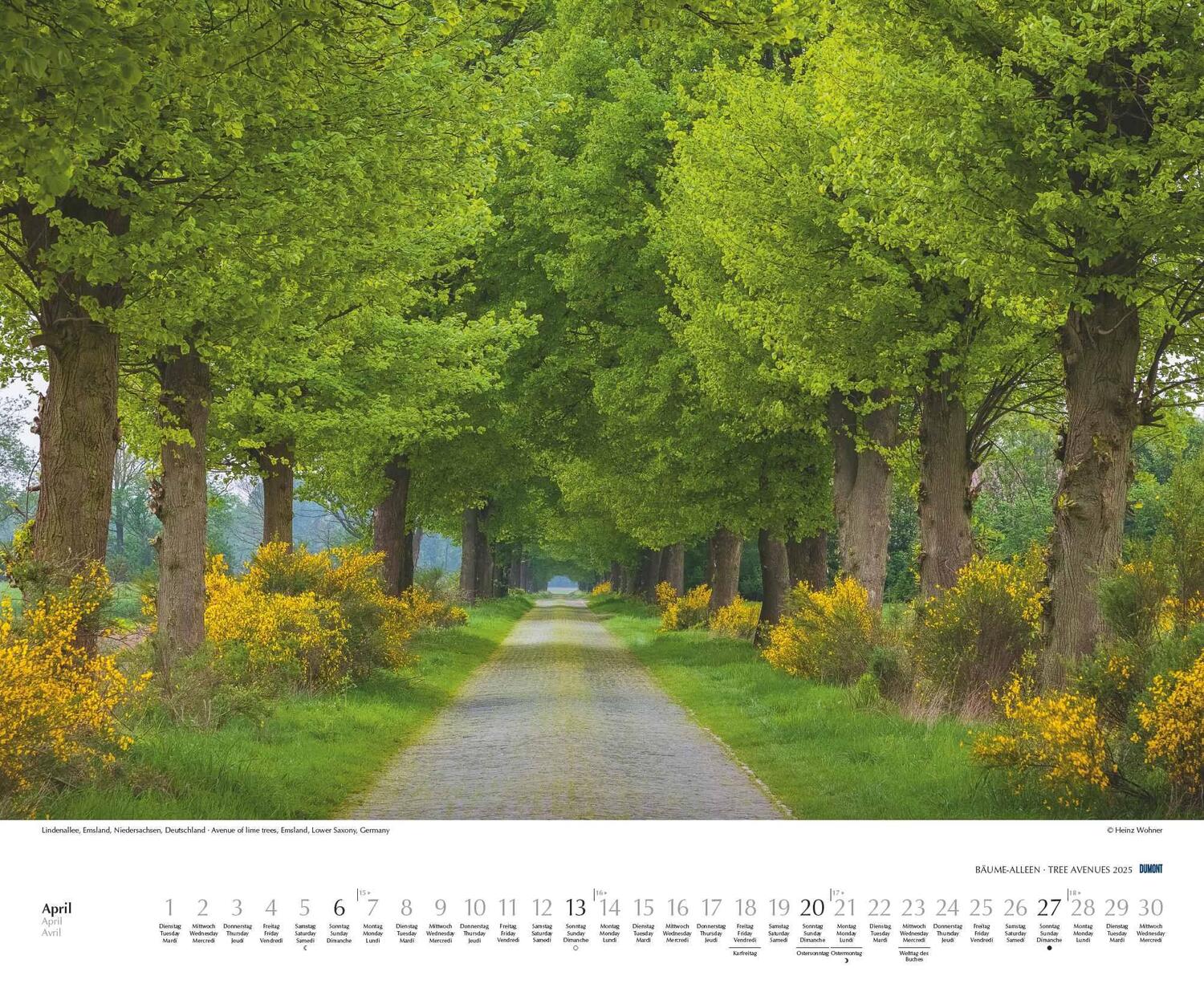 Bild: 4250809652702 | Bäume - Alleen 2025 - Wandkalender 52 x 42,5 cm - Spiralbindung | 2025