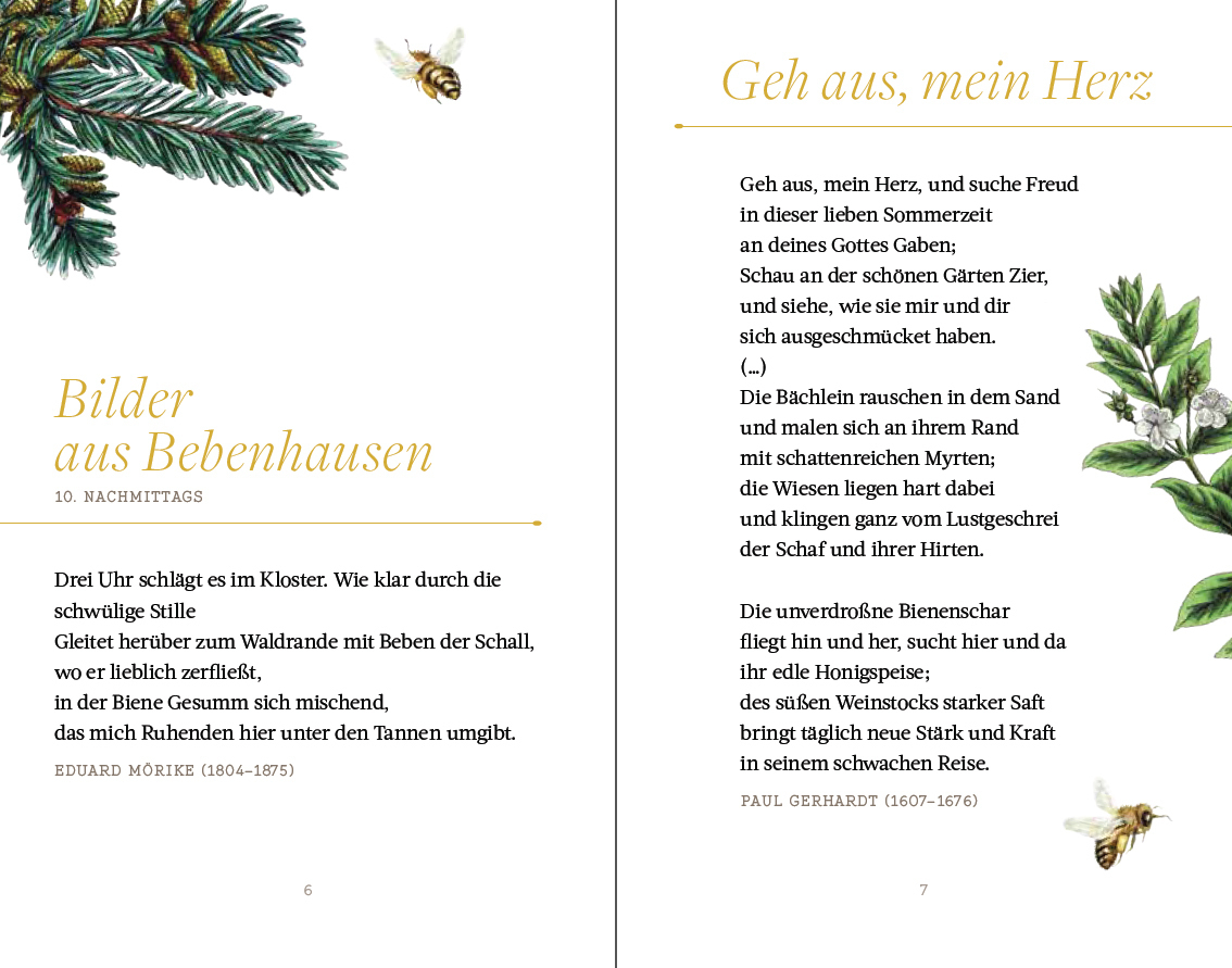 Bild: 9783799513319 | Bienen | Die schönsten Gedichte und Geschichten | Buch | Halbleinen