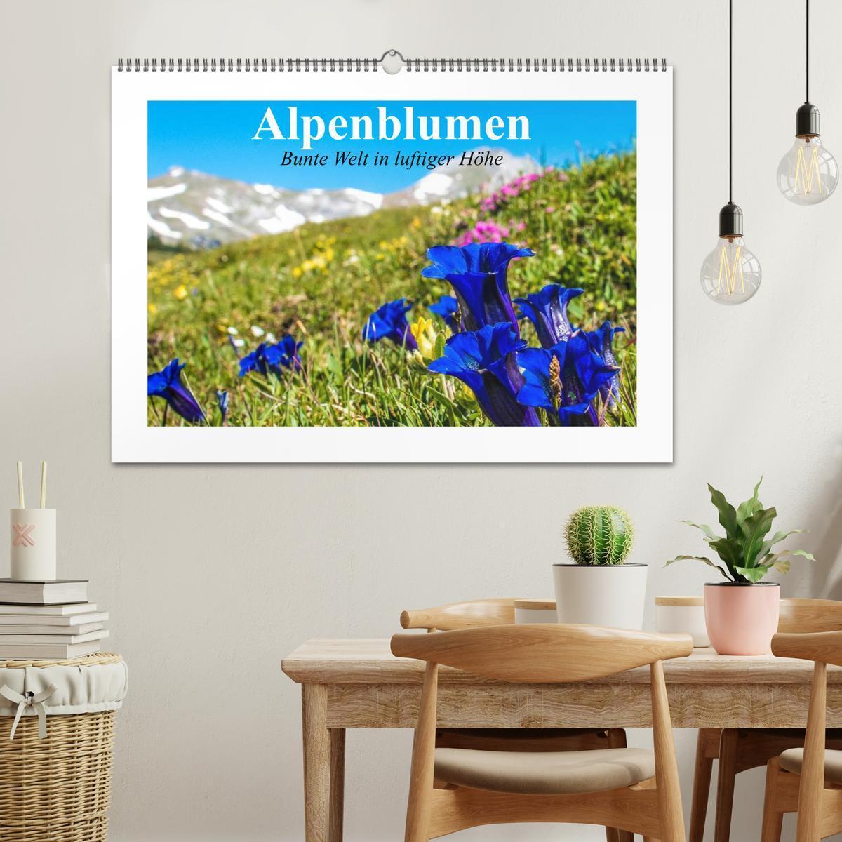 Bild: 9783435598649 | Alpenblumen. Bunte Welt in luftiger Höhe (Wandkalender 2025 DIN A2...