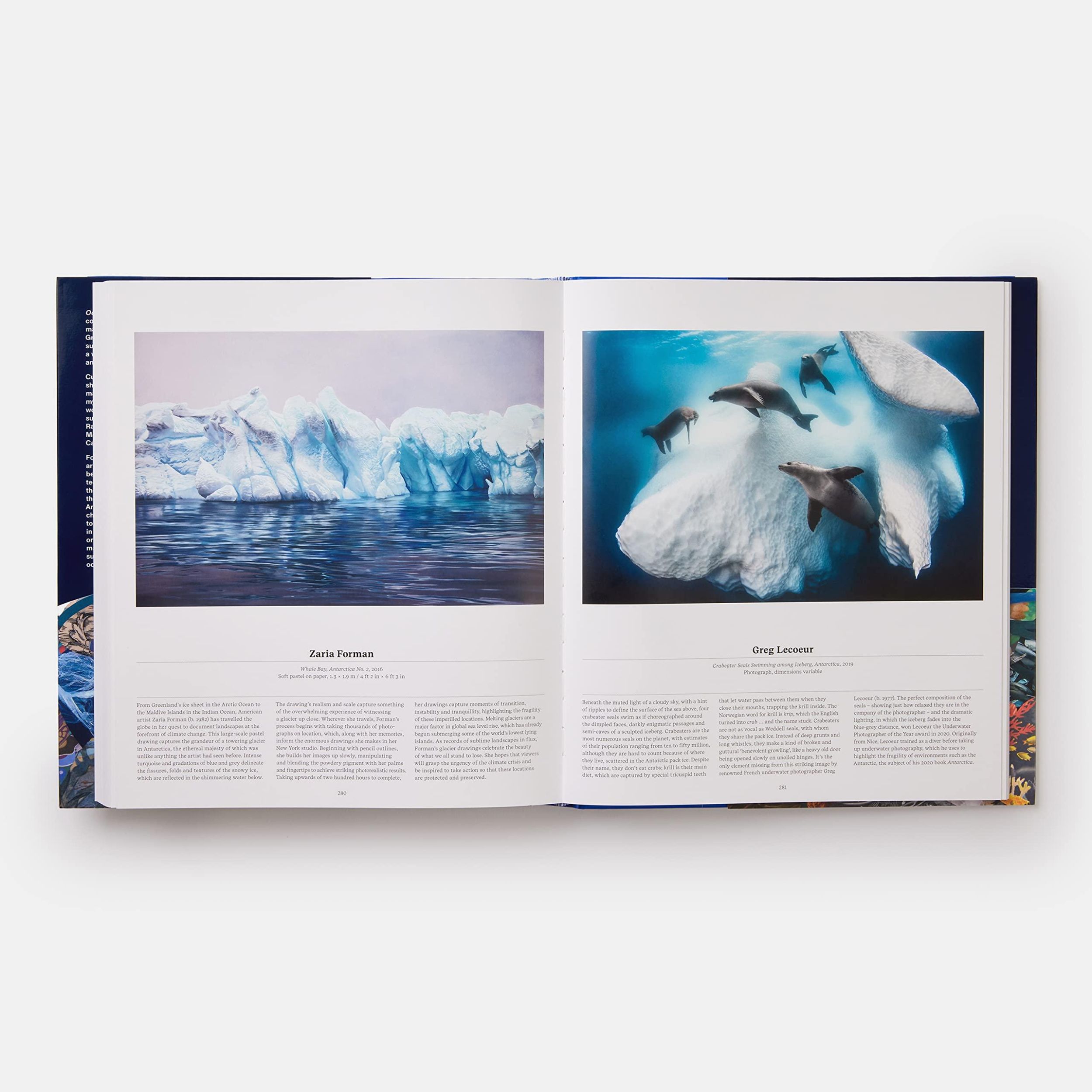 Bild: 9781838664787 | Ocean | Exploring the Marine World | Editors Phaidon (u. a.) | Buch