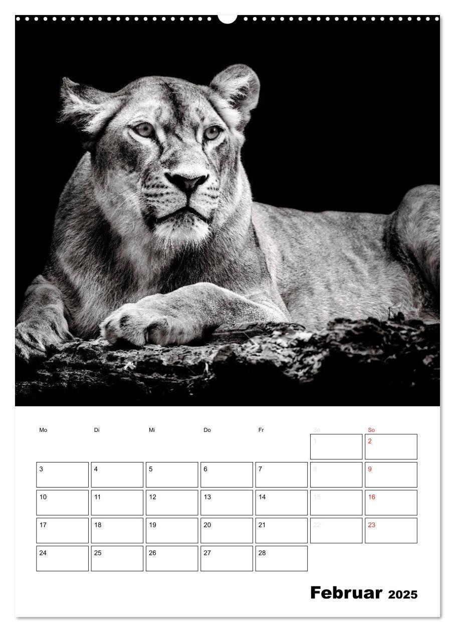 Bild: 9783457012840 | Charakterköpfe aus der Welt der Tiere (Wandkalender 2025 DIN A2...