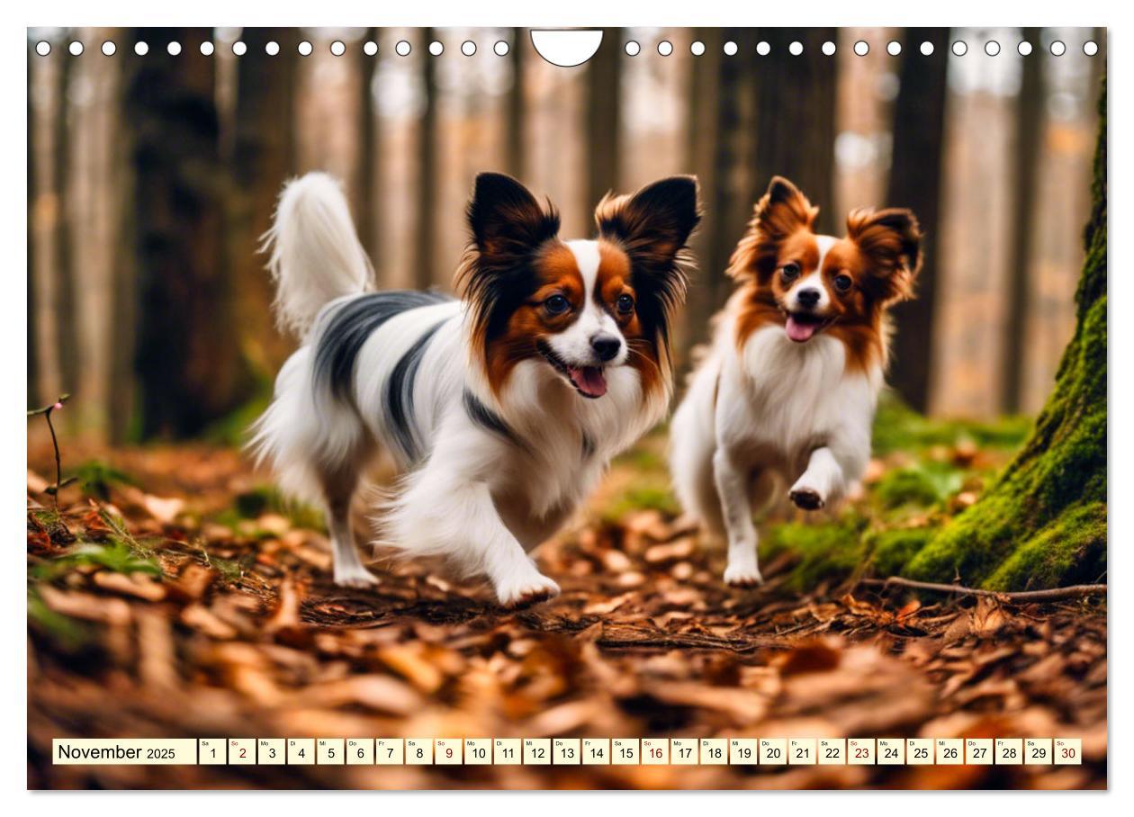 Bild: 9783457124581 | Papillon - bringt jedes Herz zum Schmelzen (Wandkalender 2025 DIN...