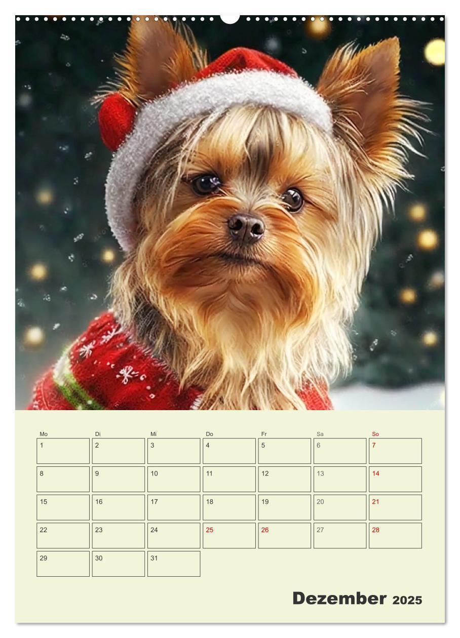 Bild: 9783435874200 | Yorkshire Terrier. Fröhliche Energiebündel in Aktion (Wandkalender...