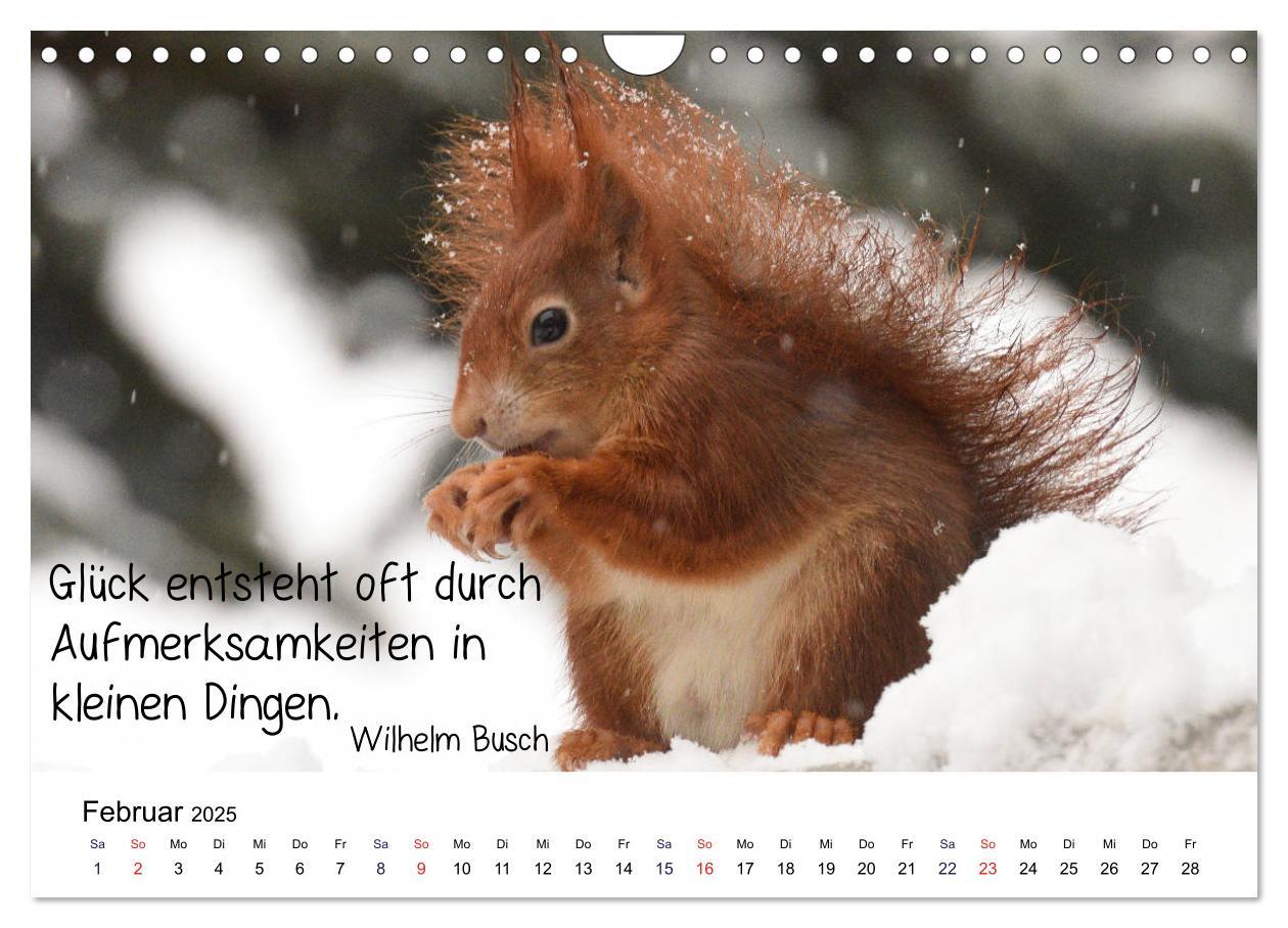 Bild: 9783435434244 | Der literarische Eichhörnchen-Kalender (Wandkalender 2025 DIN A4...