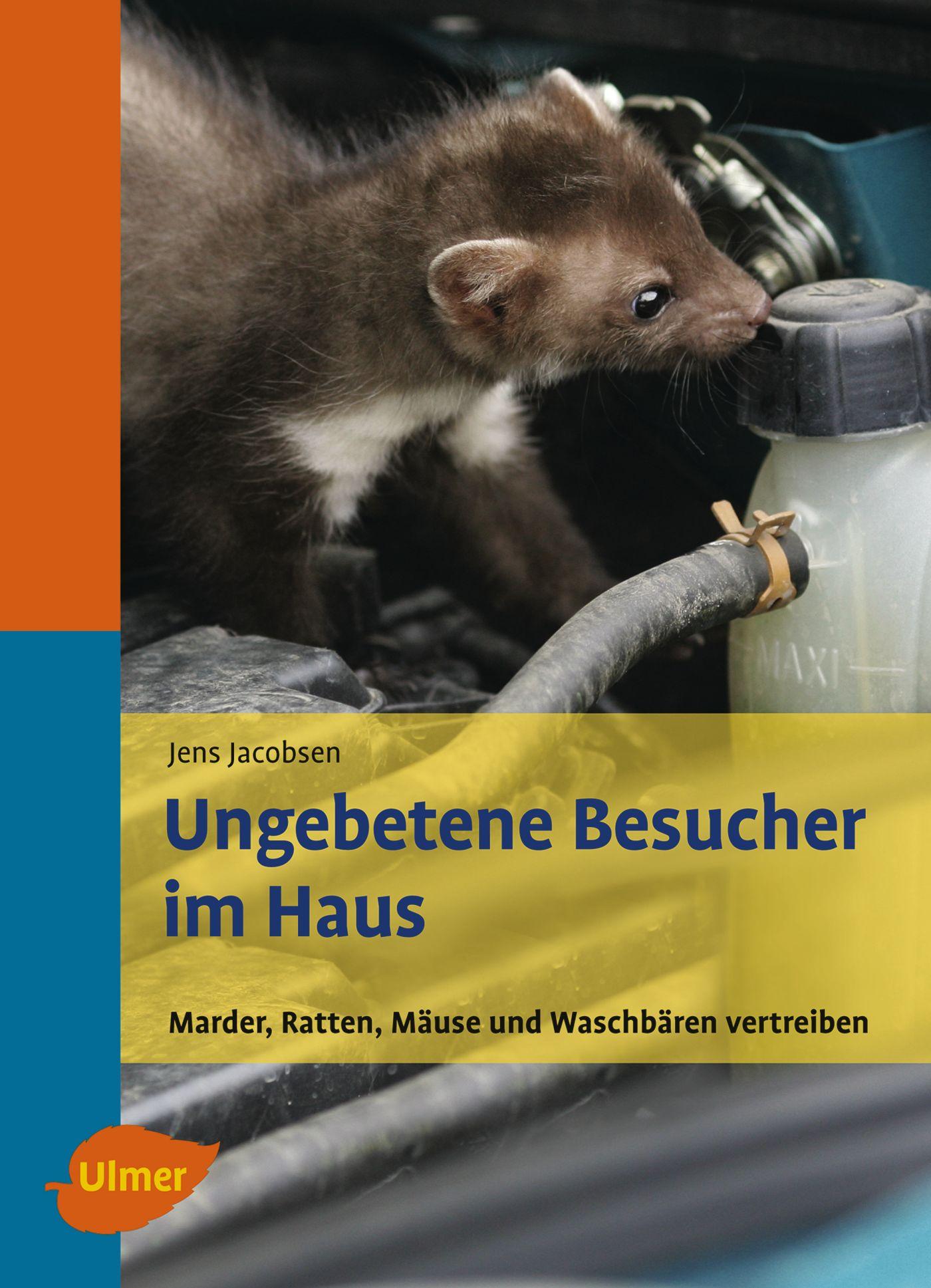 Cover: 9783800157532 | Ungebetene Besucher im Haus | Jens Jacobsen | Taschenbuch | 85 S.