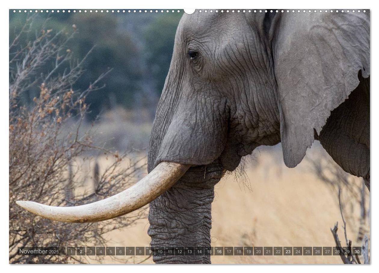 Bild: 9783435725229 | Botswana ¿ Landschaft und Tierwelt (Wandkalender 2025 DIN A2 quer),...