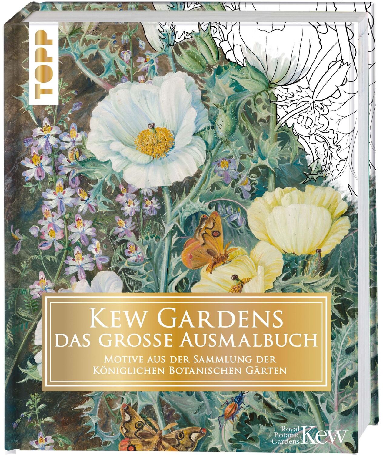 Cover: 9783772446849 | Kew Gardens - das große Ausmalbuch | Kew Gardens | Buch | 160 S.