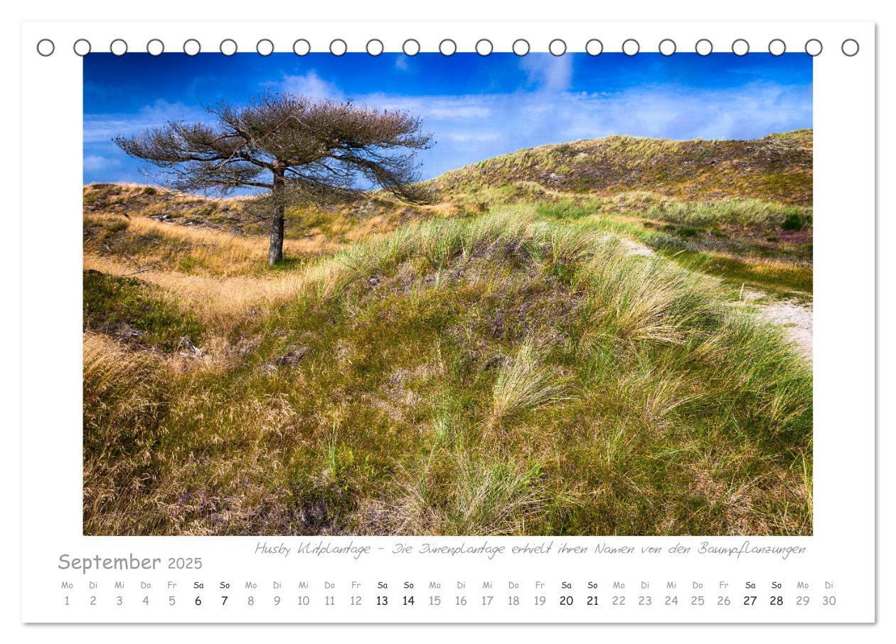 Bild: 9783435250134 | Sehnsucht Westjütland (Tischkalender 2025 DIN A5 quer), CALVENDO...