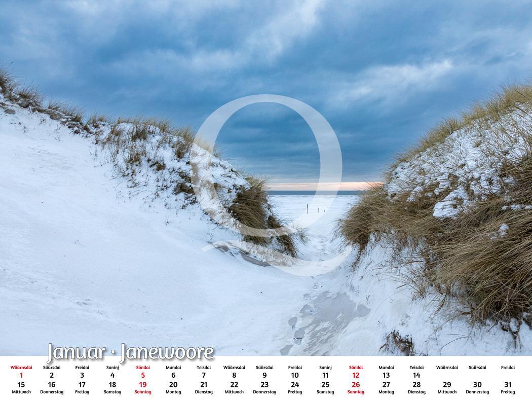 Bild: 9783924422028 | Amrum 2025 | Foto-Kalender | Kalender | Deutsch | 2025 | Quedens, Leif