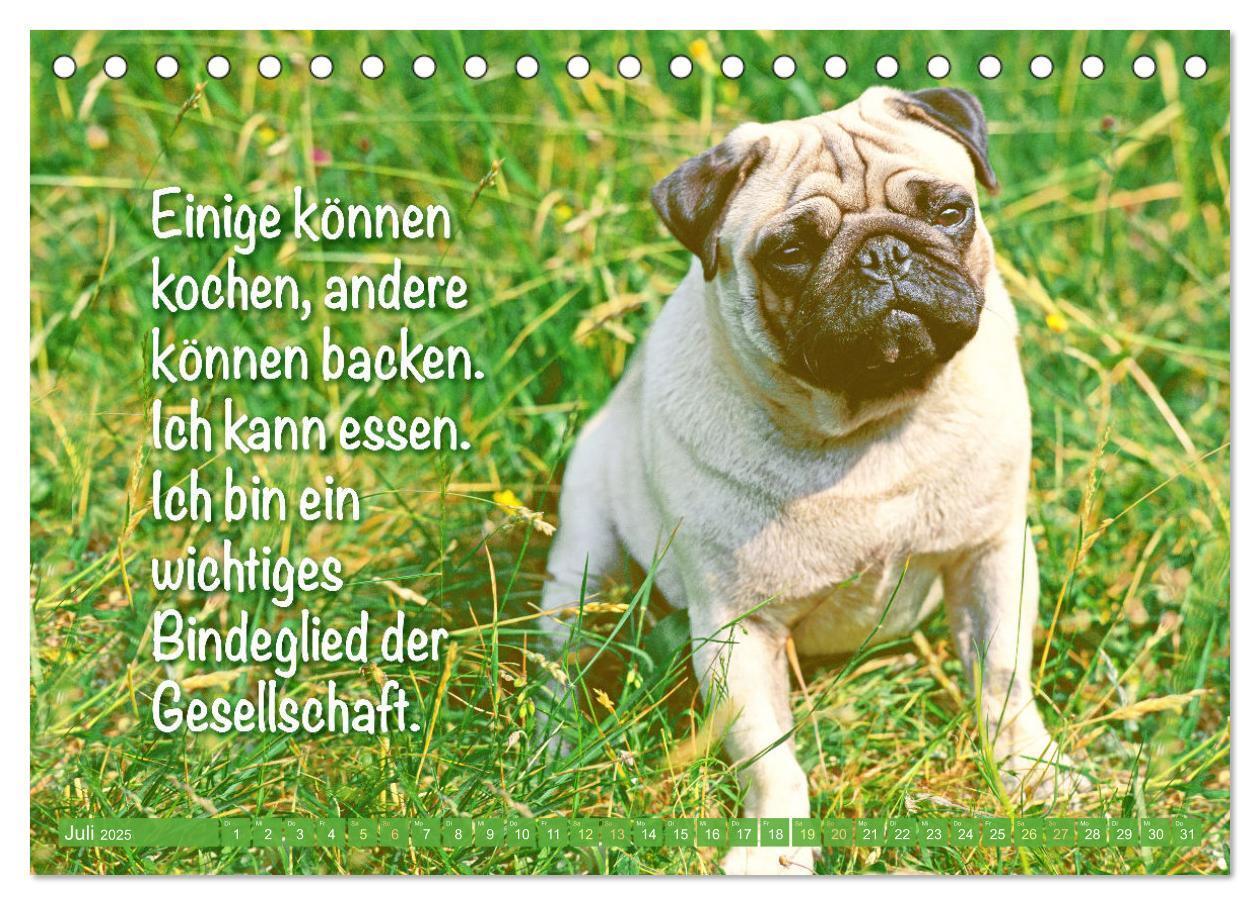 Bild: 9783457167267 | Lächeln mit Mops (Tischkalender 2025 DIN A5 quer), CALVENDO...