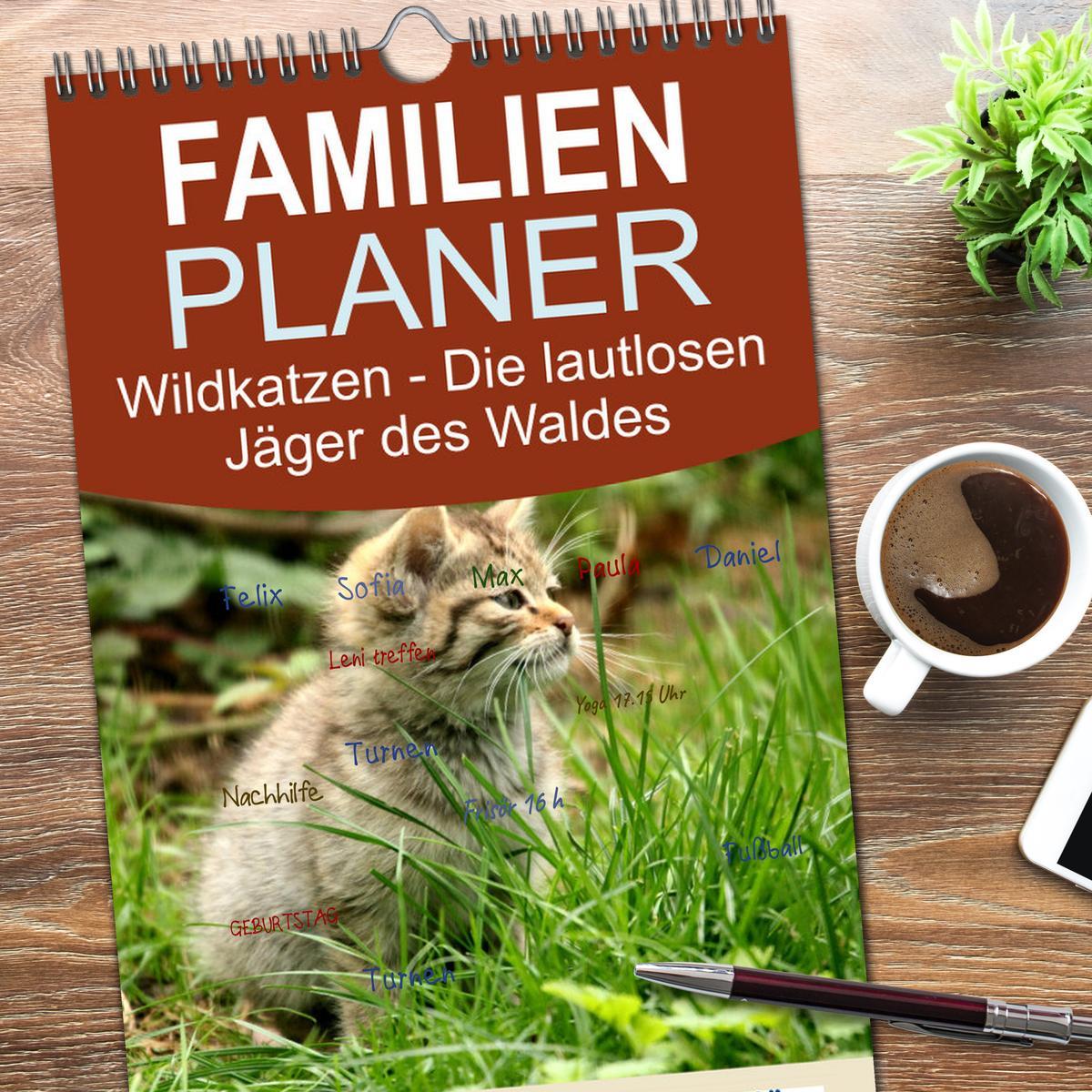 Bild: 9783457115084 | Familienplaner 2025 - Wildkatzen - Die lautlosen Jäger des Waldes...