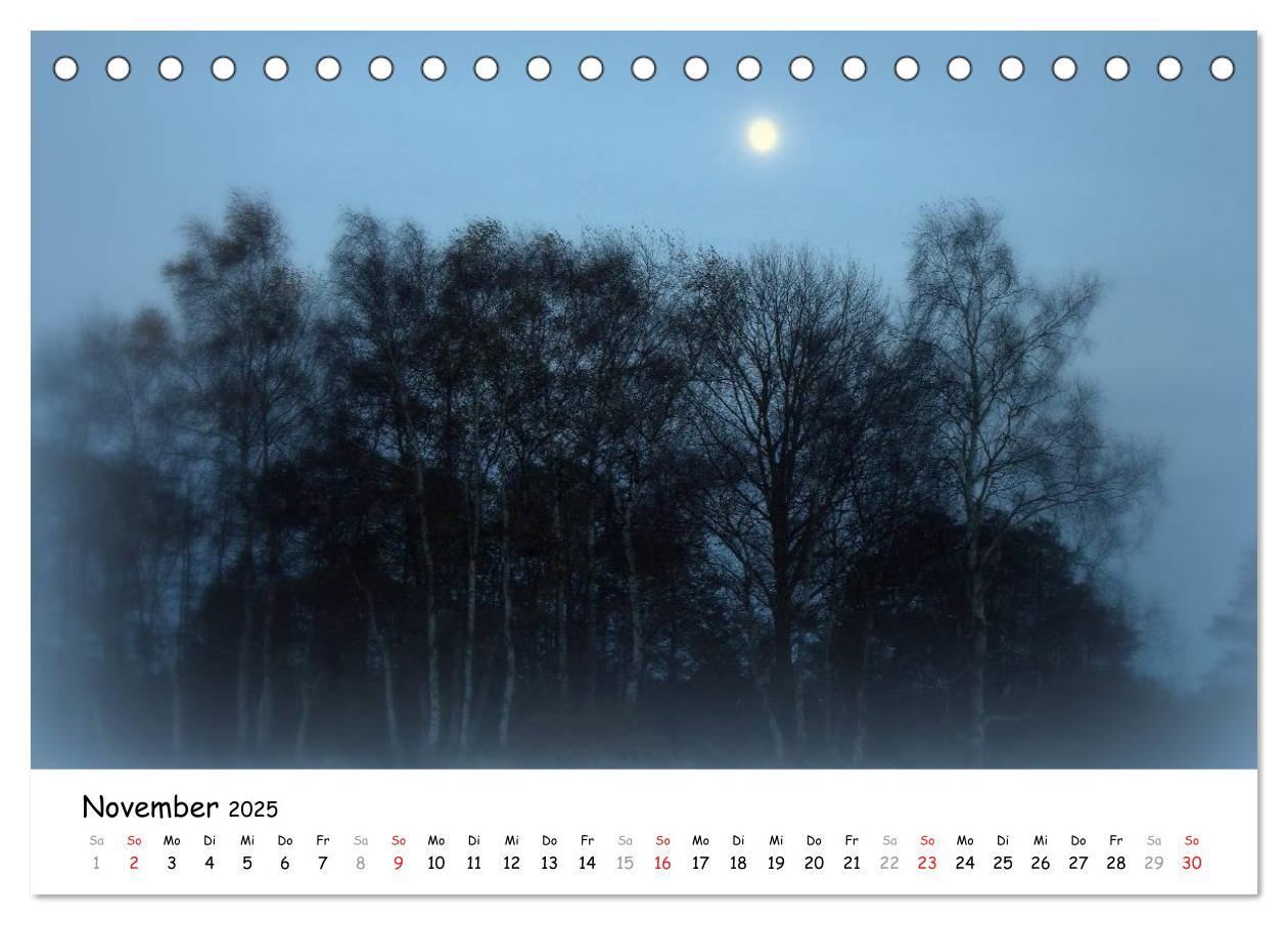 Bild: 9783435624126 | Unterwegs im Teufelsmoor (Tischkalender 2025 DIN A5 quer), CALVENDO...