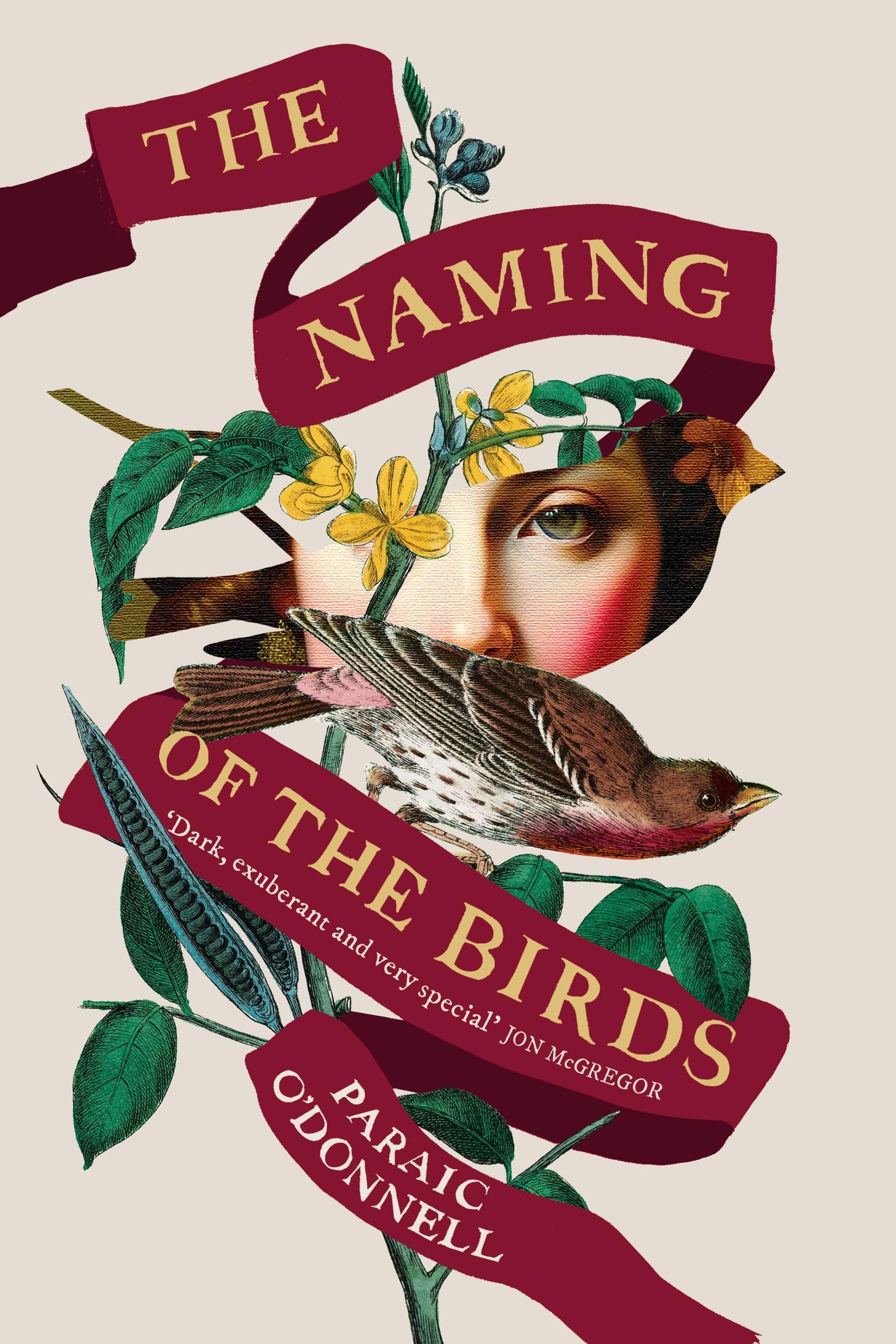 Cover: 9781474614863 | The Naming of the Birds | Paraic O'Donnell | Buch | Gebunden | 2025