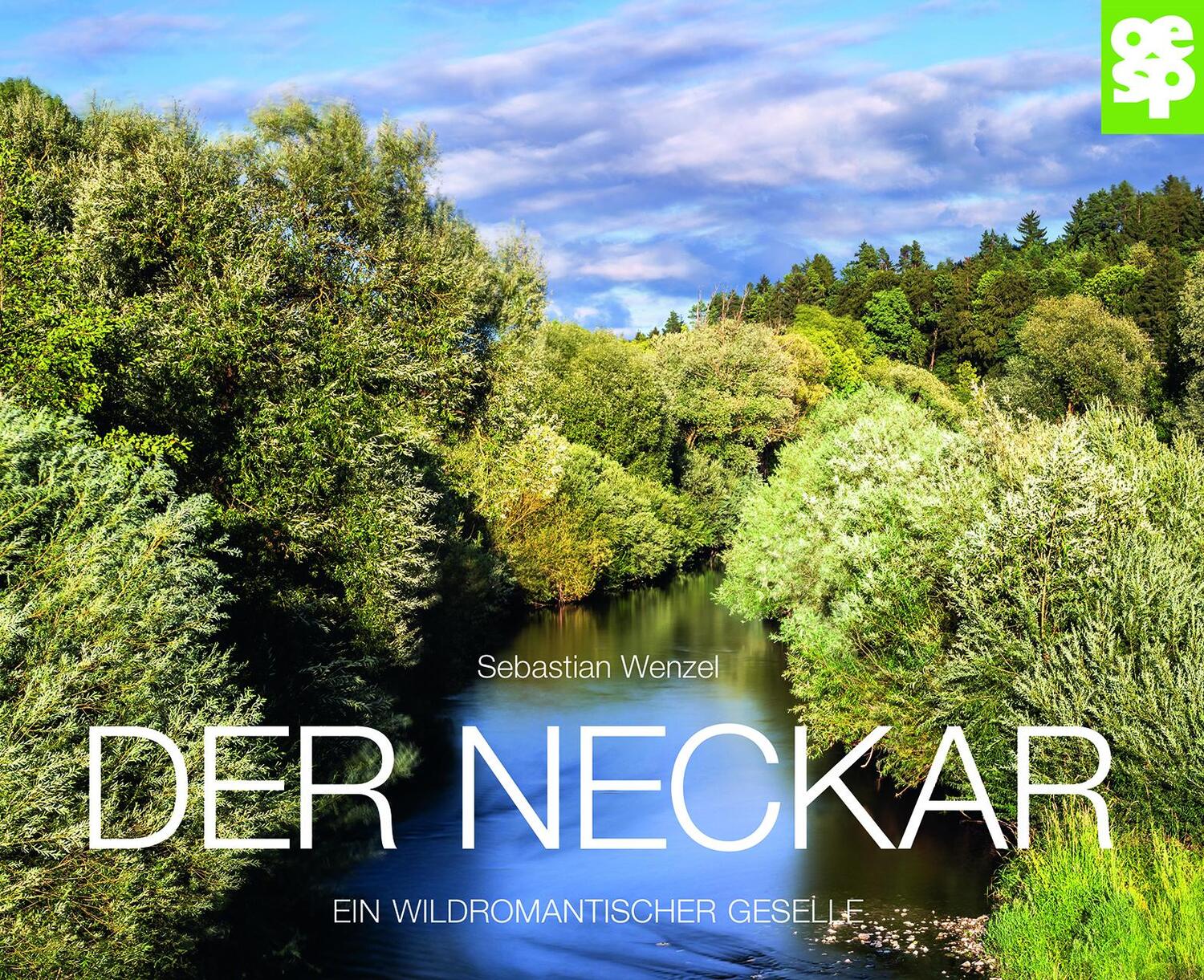 Cover: 9783965551770 | Der Neckar | Ein wildromantischer Geselle | Sebastian Wenzel | Buch