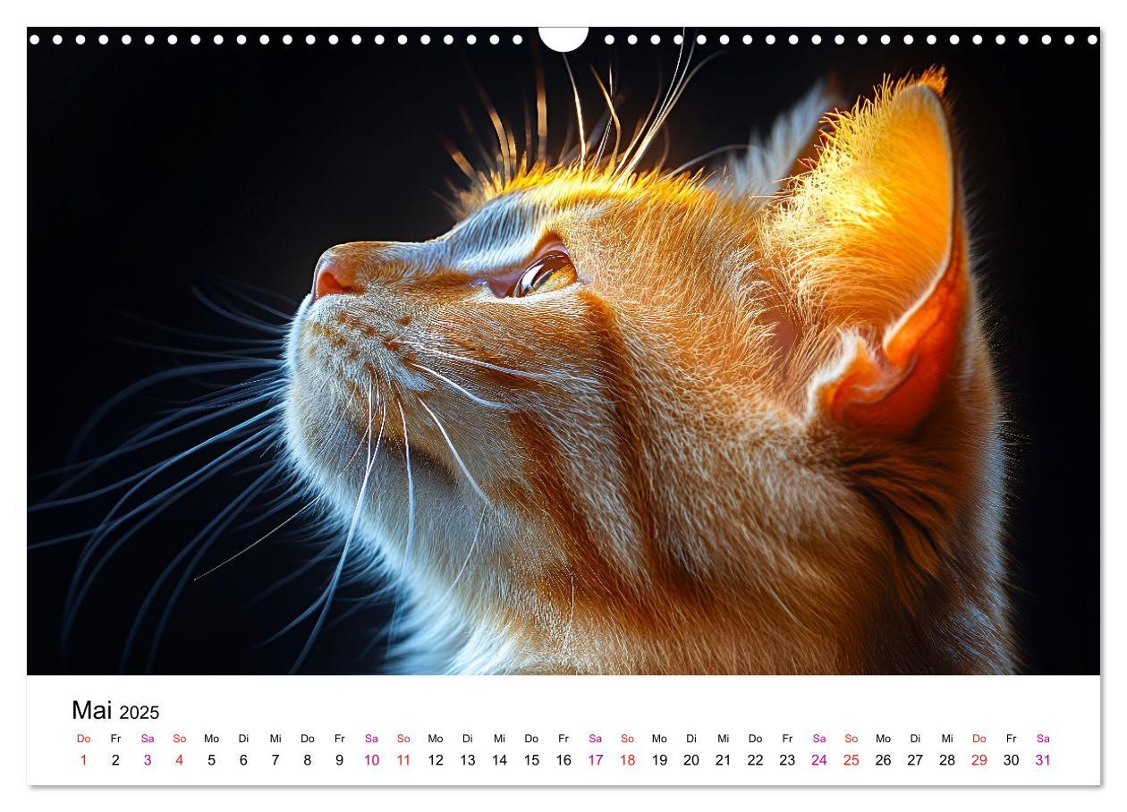 Bild: 9783457218280 | Katzenzauber - Samtpfoten im Jahreslauf (Wandkalender 2025 DIN A3...