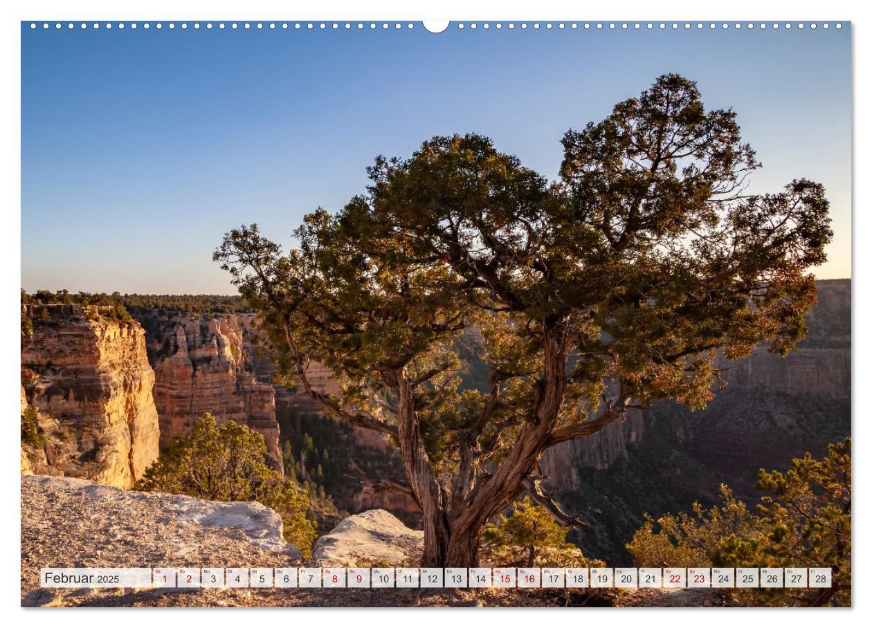 Bild: 9783383903007 | GRAND CANYON Mächtige Schlucht (Wandkalender 2025 DIN A2 quer),...