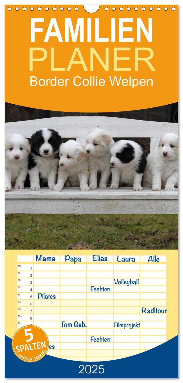 Cover: 9783457124772 | Familienplaner 2025 - Border Collie Welpen mit 5 Spalten...