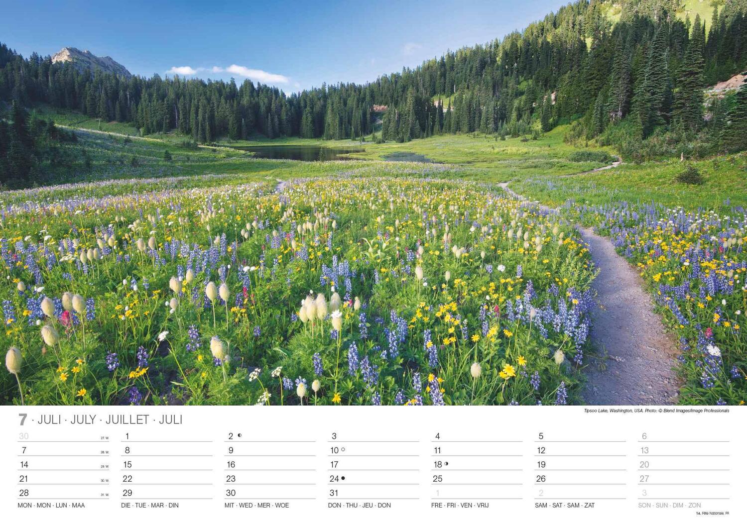 Bild: 4002725994288 | Malerische Wege 2025 - Wand-Kalender - 42x29,7 - Natur | Neumann