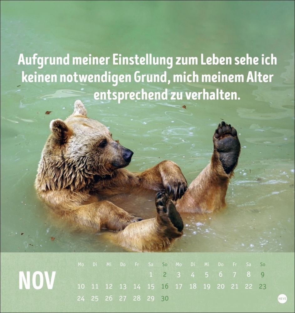 Bild: 9783756407187 | Alt! Aber gut drauf Postkartenkalender 2025 - Der tierische...