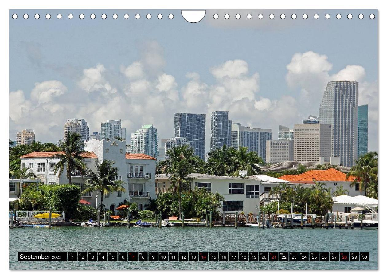 Bild: 9783435837533 | MIAMI (Wandkalender 2025 DIN A4 quer), CALVENDO Monatskalender | Damm