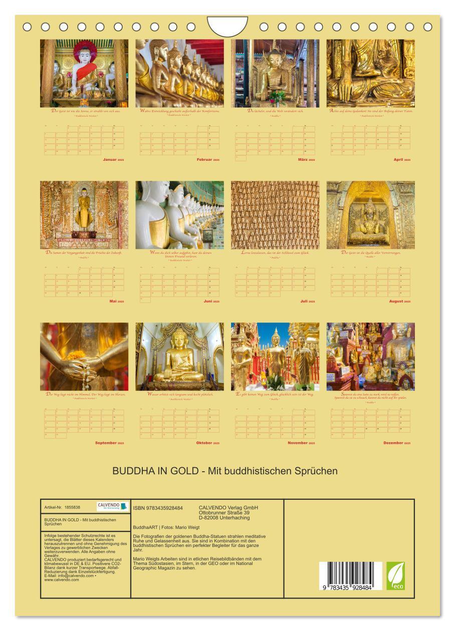 Bild: 9783435928484 | BUDDHA IN GOLD - Mit buddhistischen Sprüchen (Wandkalender 2025 DIN...