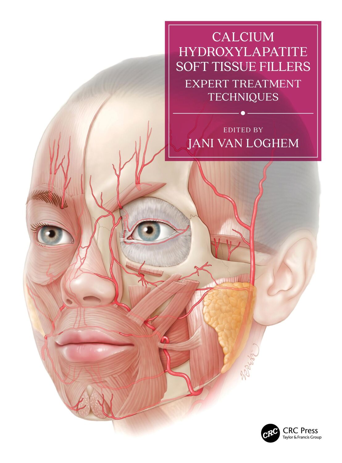 Cover: 9781138055124 | Calcium Hydroxylapatite Soft Tissue Fillers | Jani van Loghem | Buch