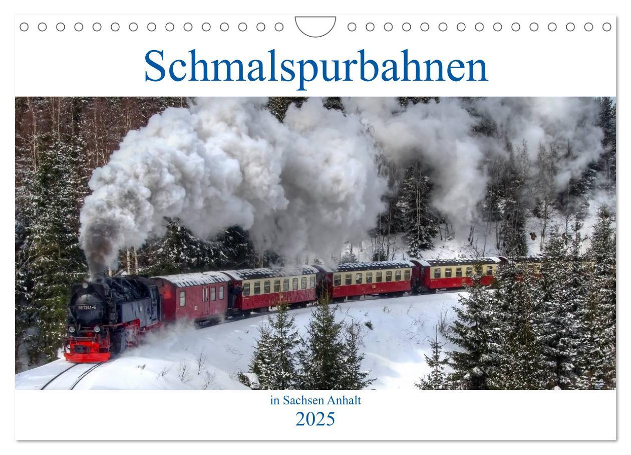 Cover: 9783435687527 | Schmalspurbahnen in Sachsen Anhalt (Wandkalender 2025 DIN A4 quer),...