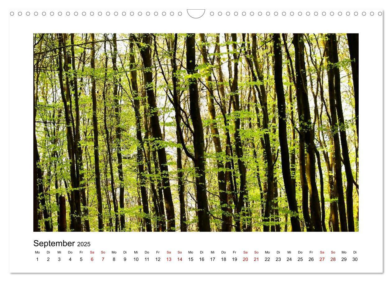 Bild: 9783435405060 | Zauberhafte Landschaften im Odenwald (Wandkalender 2025 DIN A3...