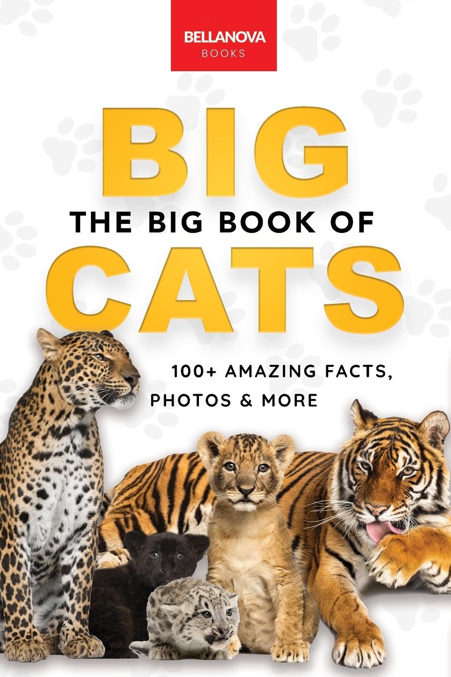 Cover: 9786192640637 | The Big Book of Big Cats | Jenny Kellett | Taschenbuch | Englisch