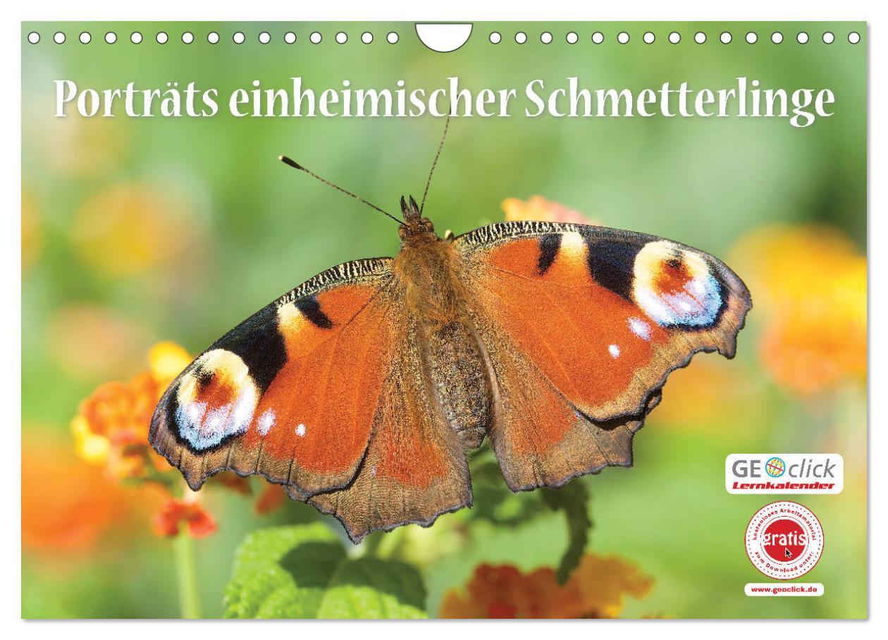 Cover: 9783435195343 | GEOclick Lernkalender: Porträts einheimischer Schmetterlinge...