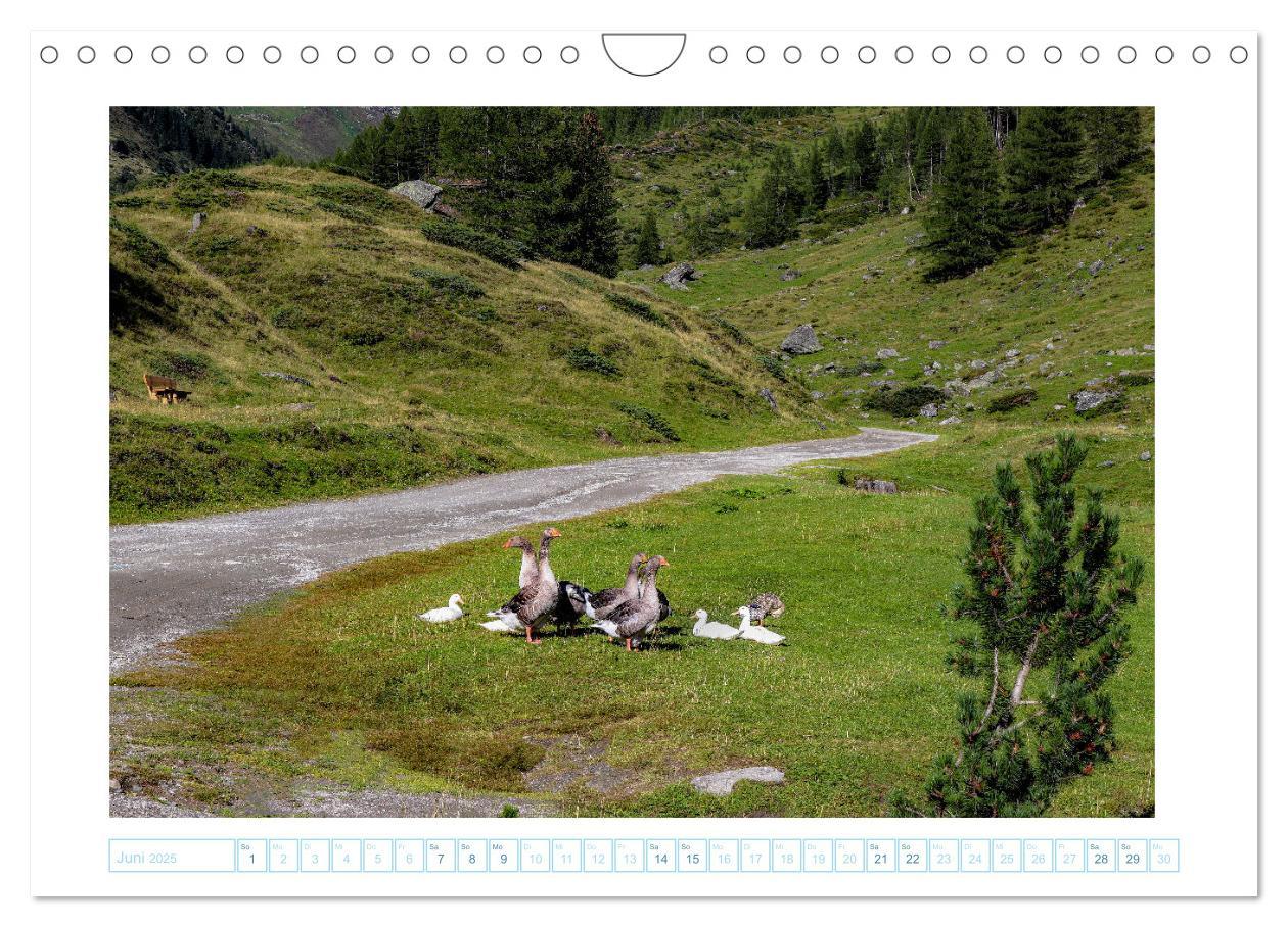 Bild: 9783435042296 | Schönes Ahrntal (Wandkalender 2025 DIN A4 quer), CALVENDO...