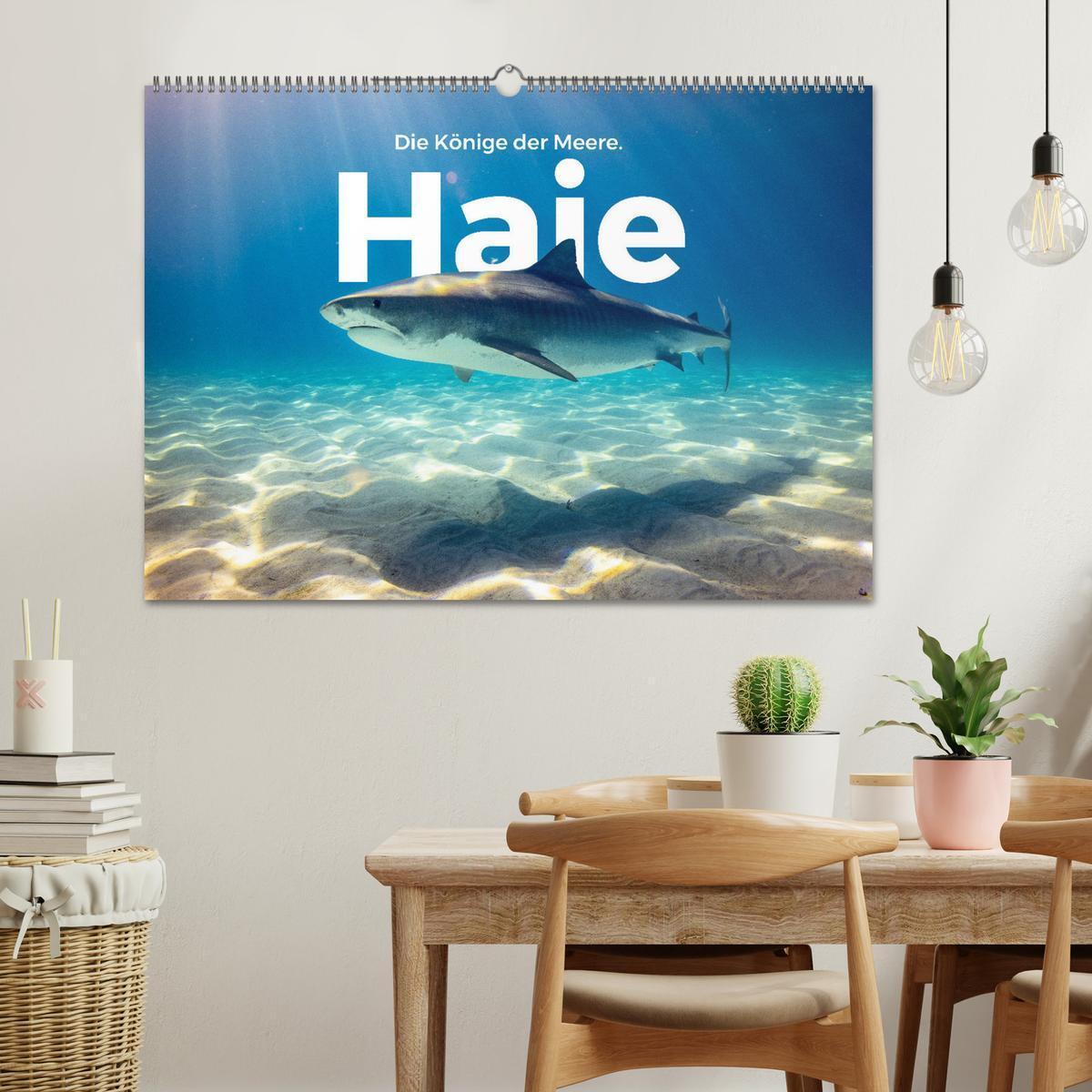 Bild: 9783435000784 | Haie - Könige der Meere. (Wandkalender 2025 DIN A2 quer), CALVENDO...