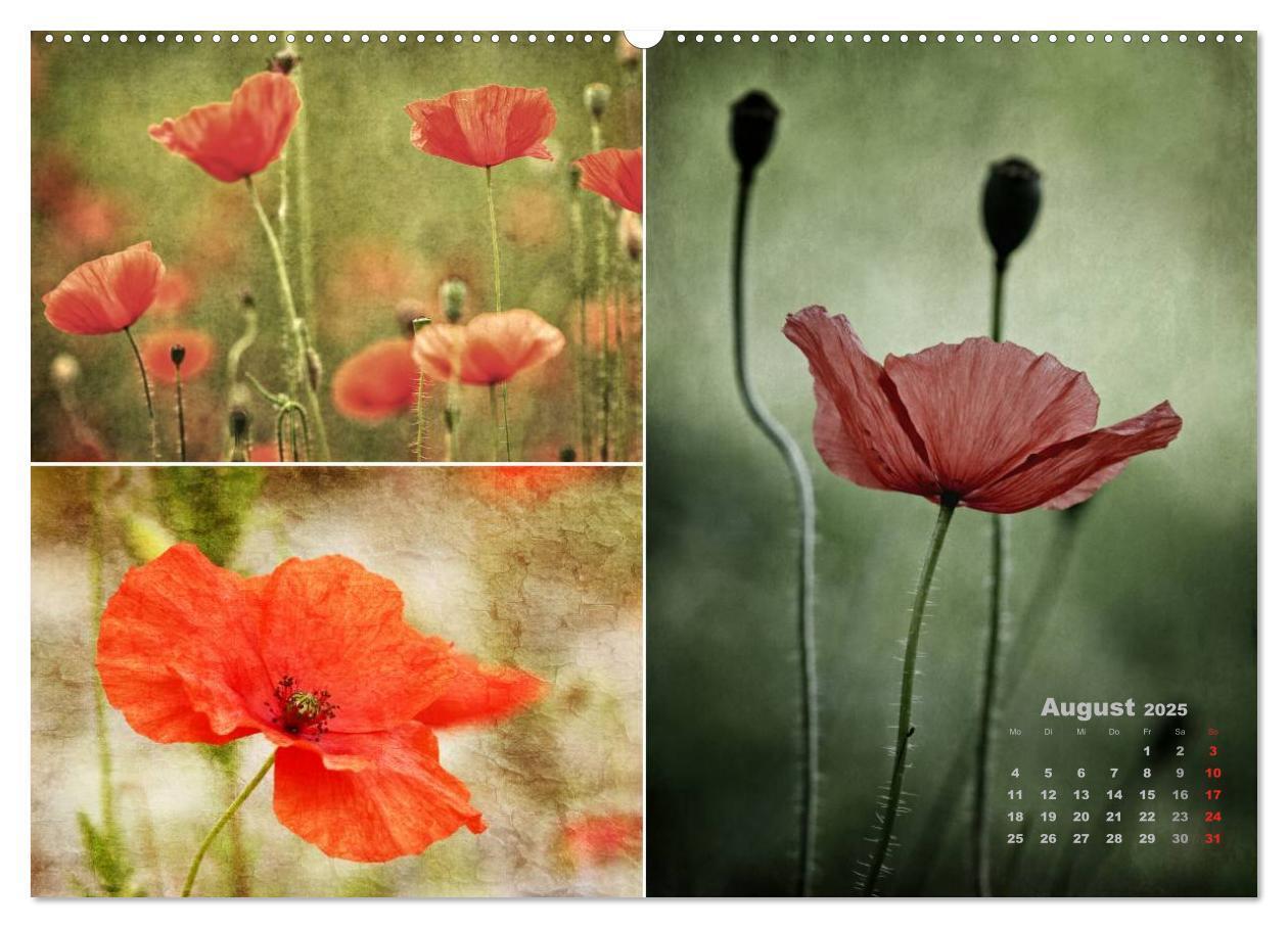 Bild: 9783435611713 | Blumenreise 2025 (Wandkalender 2025 DIN A2 quer), CALVENDO...