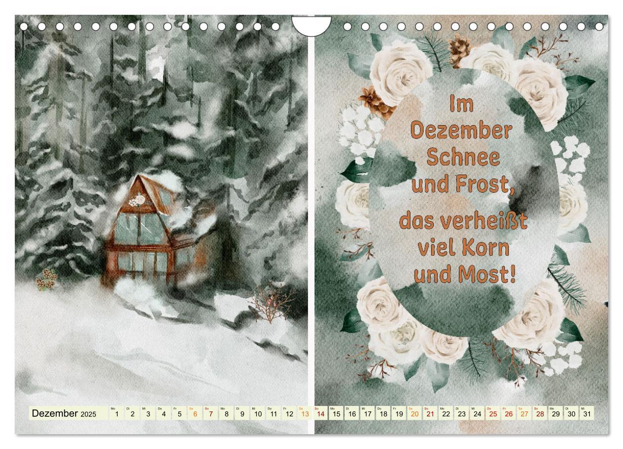 Bild: 9783435080571 | Regeln für das Wetter (Wandkalender 2025 DIN A4 quer), CALVENDO...