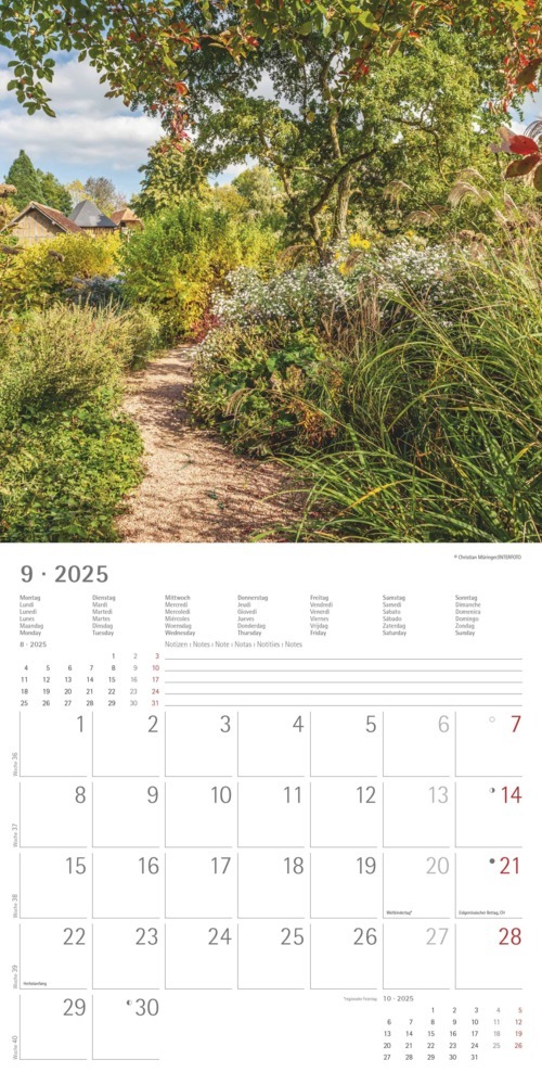 Bild: 4251732340629 | Alpha Edition - Gartenzauber 2025 Broschürenkalender, 30x30cm,...