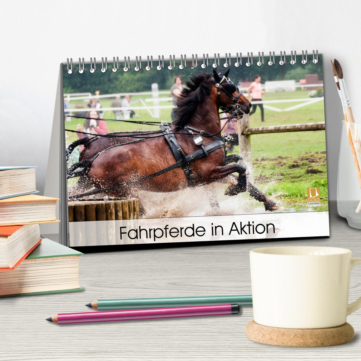 Bild: 9783435331345 | Fahrpferde in Aktion (Tischkalender 2025 DIN A5 quer), CALVENDO...