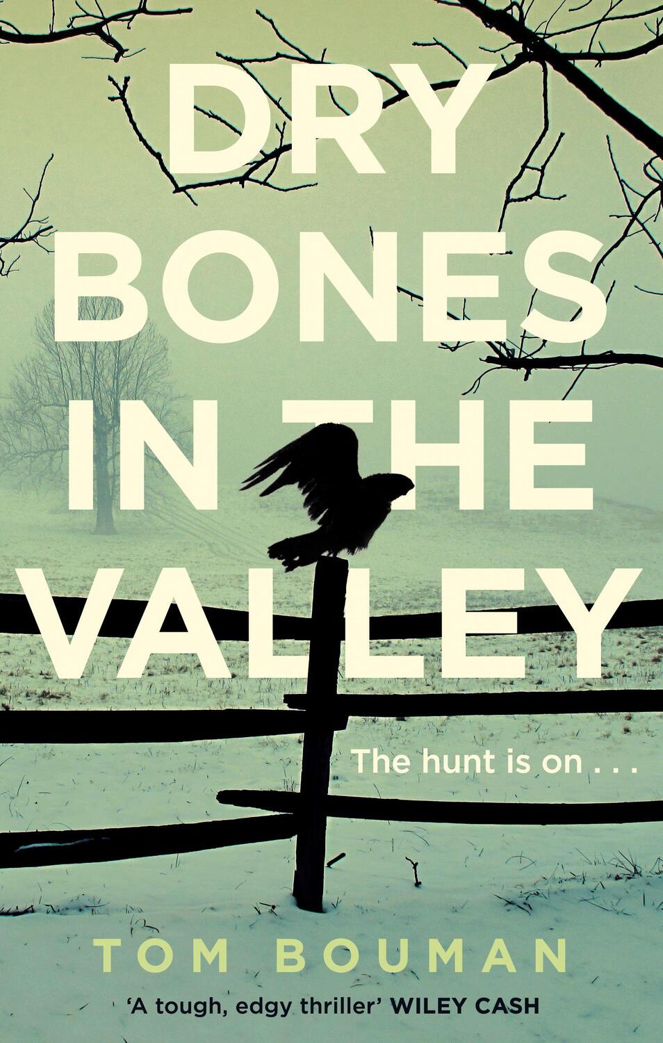 Cover: 9780571320646 | Dry Bones in the Valley | Tom Bouman | Taschenbuch | 288 S. | Englisch