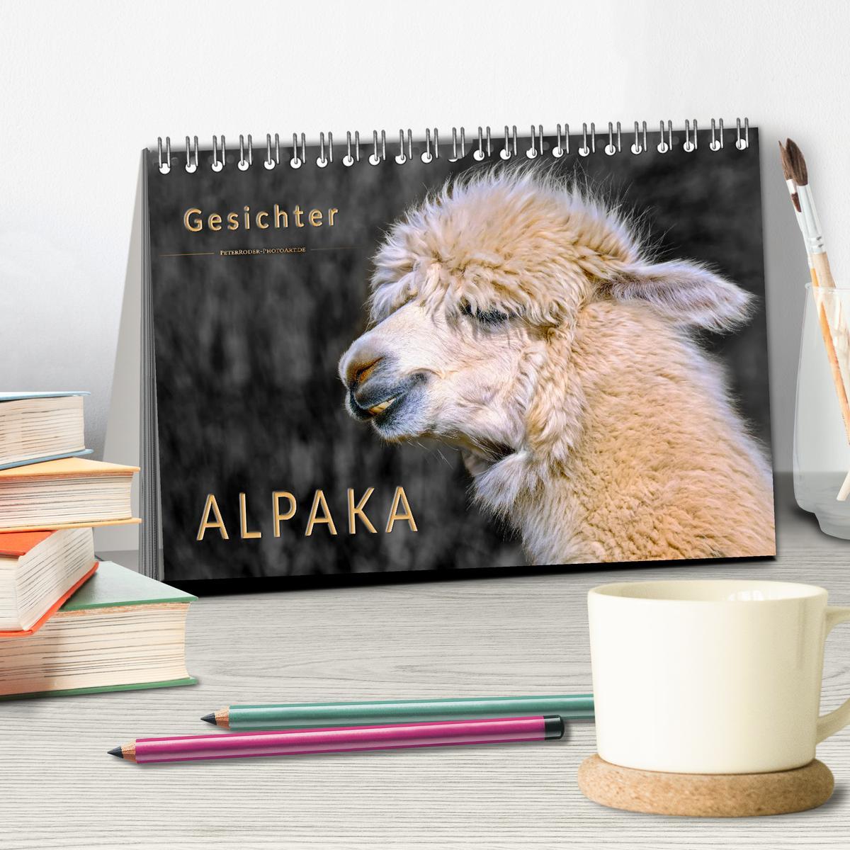 Bild: 9783435363421 | Alpaka Gesichter (Tischkalender 2025 DIN A5 quer), CALVENDO...