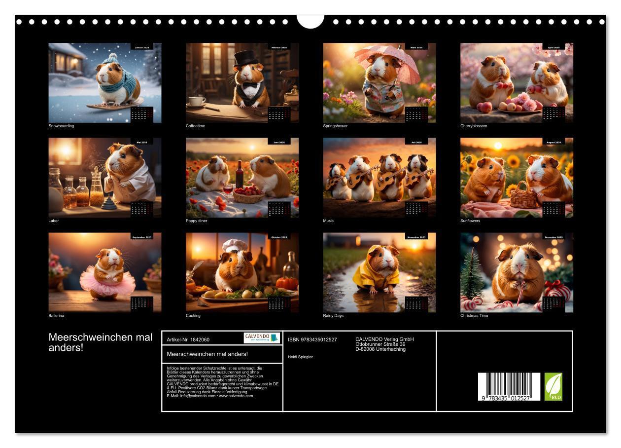 Bild: 9783435012527 | Meerschweinchen mal anders! (Wandkalender 2025 DIN A3 quer),...