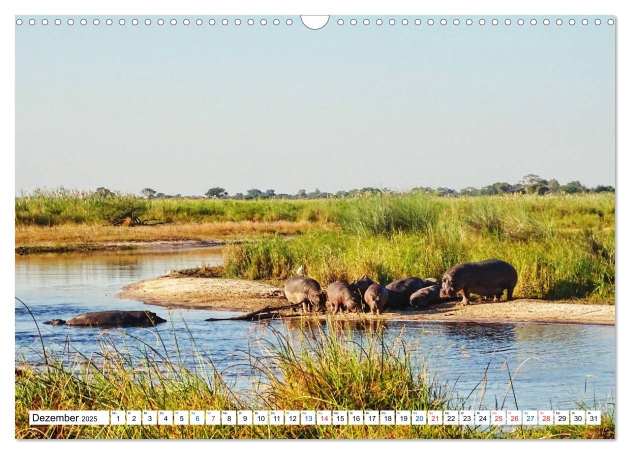 Bild: 9783435221950 | Namibia, Faszination Wüste und Tierwelt (Wandkalender 2025 DIN A3...