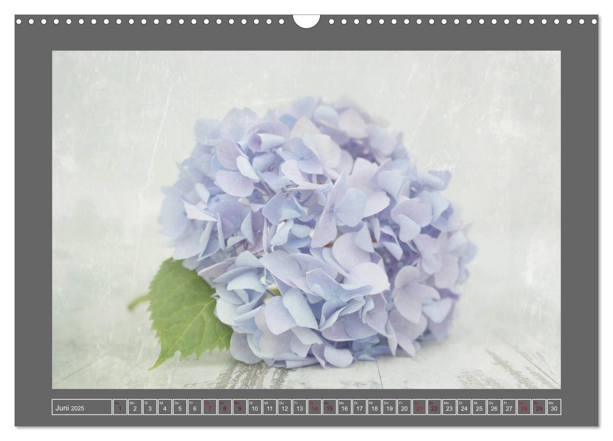 Bild: 9783435835409 | Blumen für dich (Wandkalender 2025 DIN A3 quer), CALVENDO...